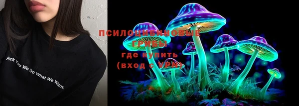 молекула духа Инсар