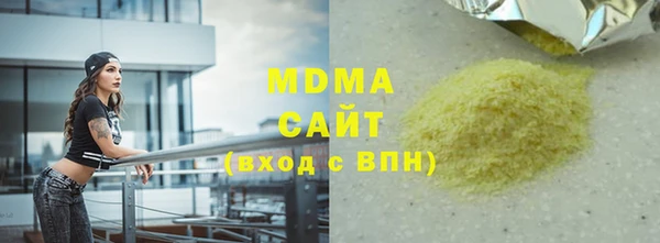 индика Каменногорск