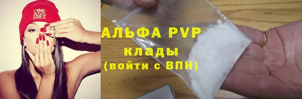 молекула духа Инсар
