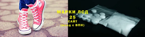 индика Каменногорск