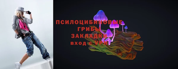 прущая мука Инта