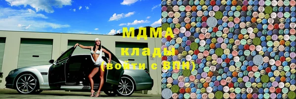 индика Каменногорск
