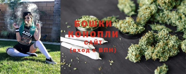 гашик Иннополис