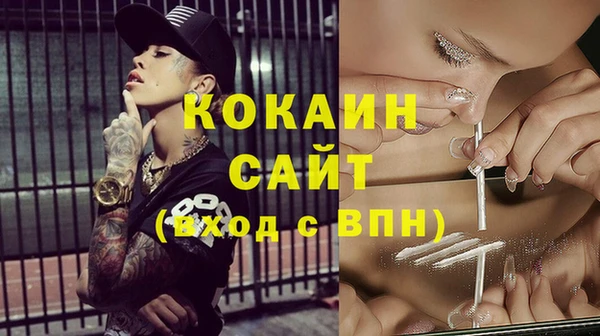 молекула духа Инсар