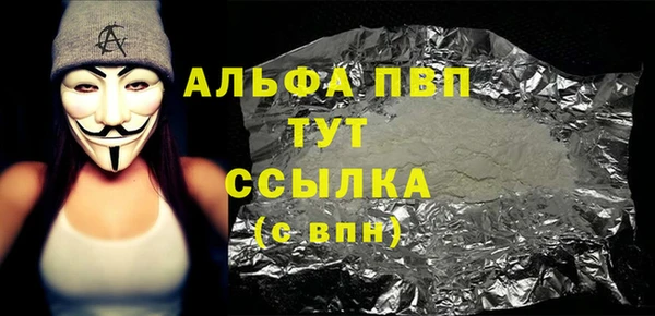 индика Каменногорск