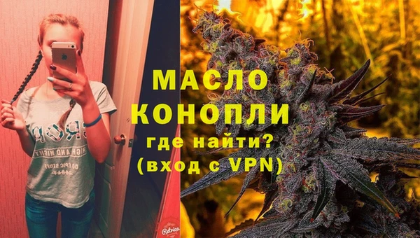 индика Каменногорск