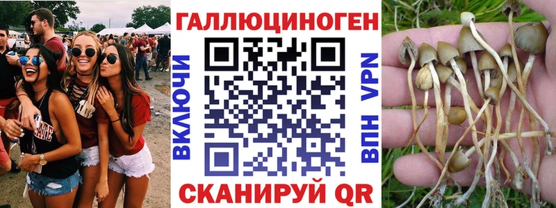 Купить закладки  Волоколамск  Псилоцибиновые грибы прущие грибы 